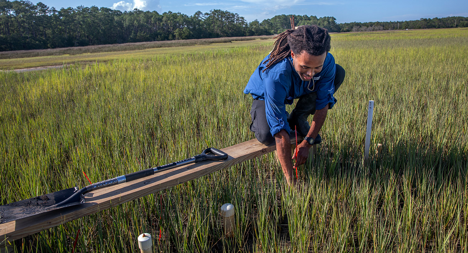 Environmental Studies, B.A. University of South Carolina