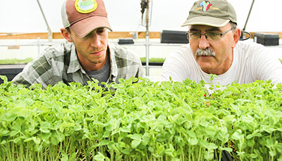 Two people looking over a grouping of small plants. 