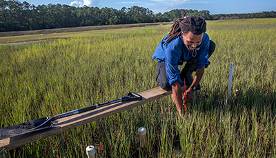 Student taking samples from marsh.