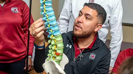 Student looking at a colored model of a spine. 