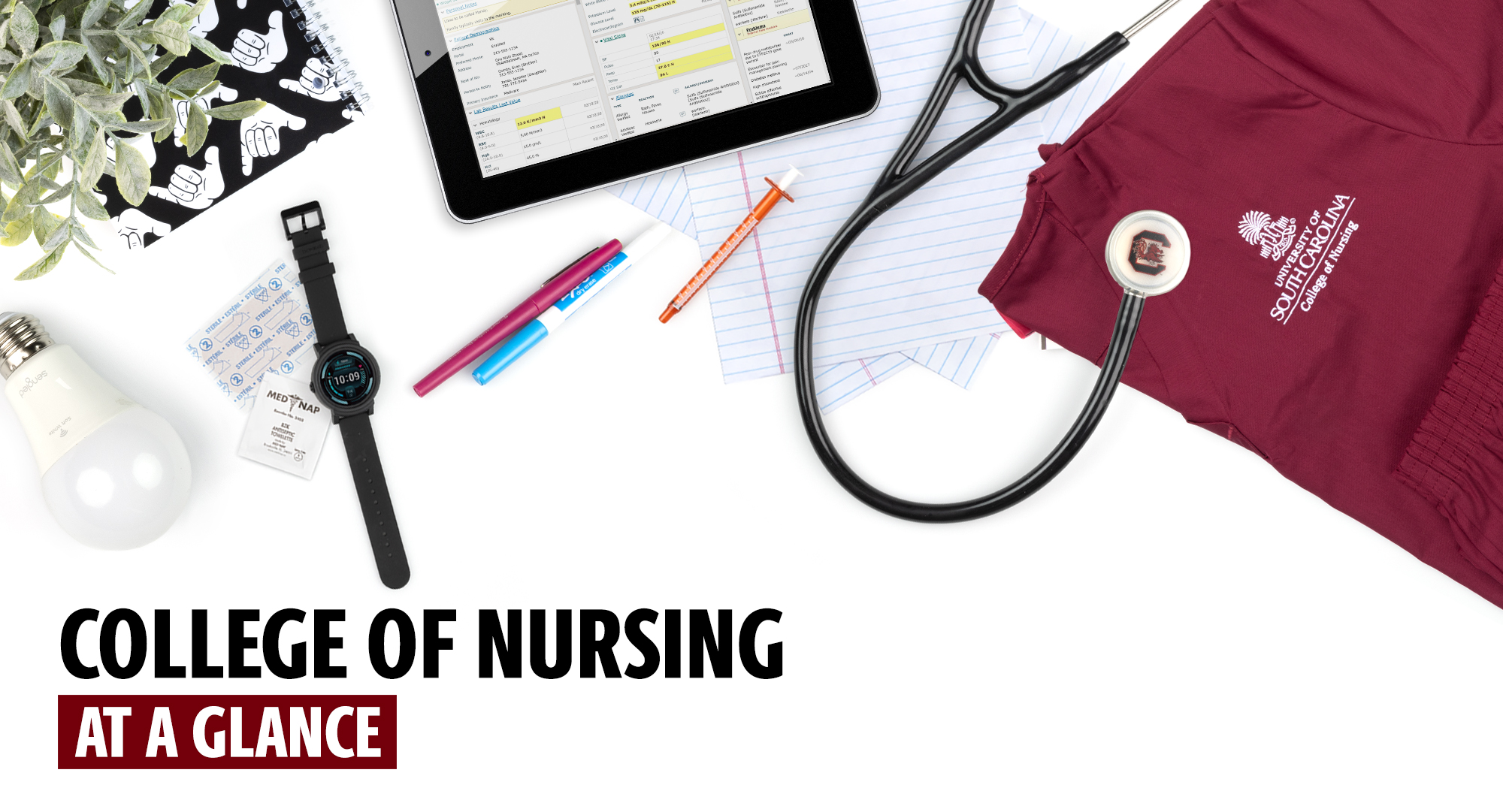College of Nursing University of South Carolina