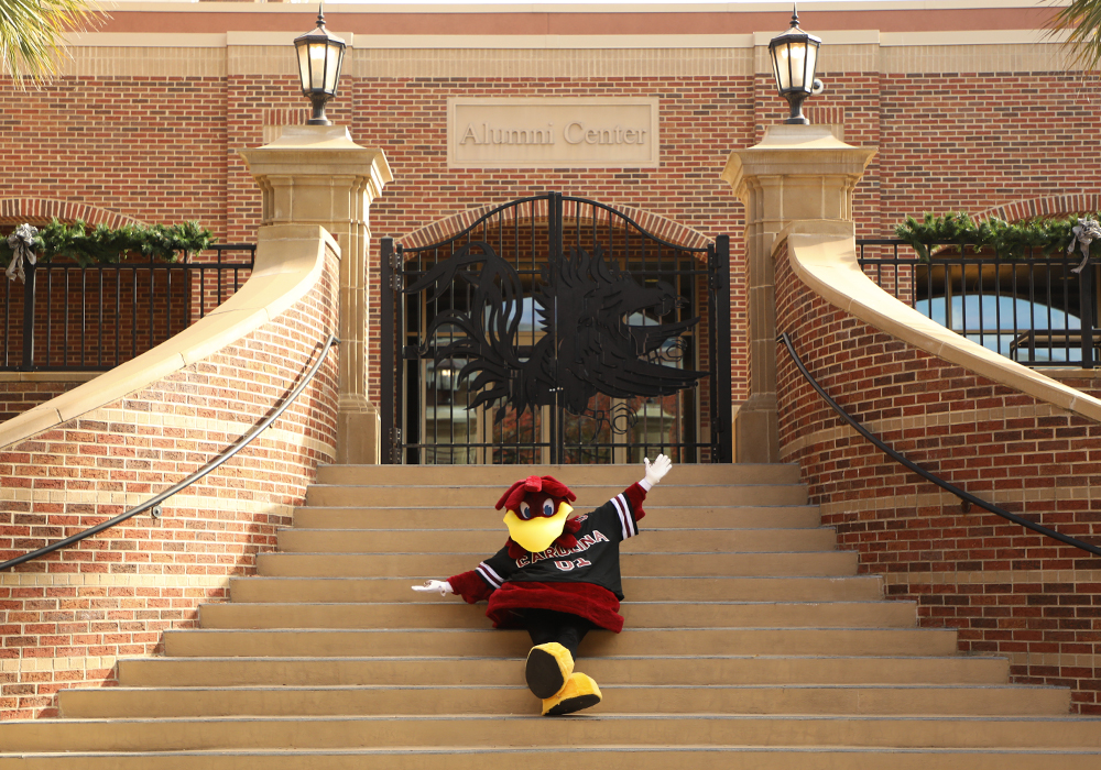 Cocky poses on the stairs of the alumni center