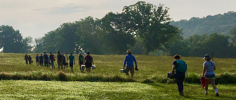 A team of archaeologists carry gear across an open grassy field to a dig site in Kempsville, Illinois.
