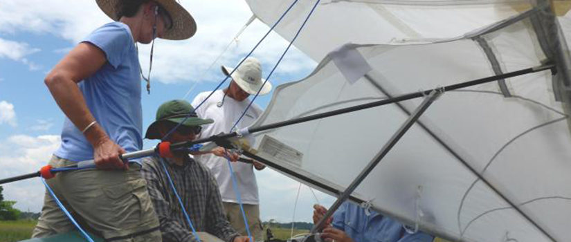 Researchers attach interments to a kite. 