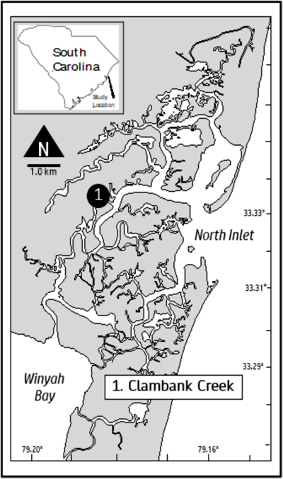 North Inlet Estuary, South Carolina