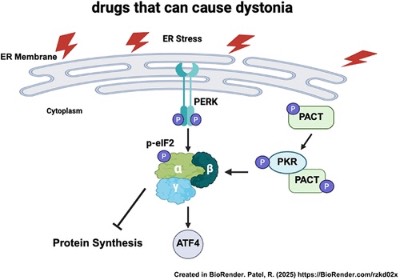 drugs that can cause dystonia