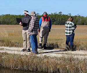 students working outside