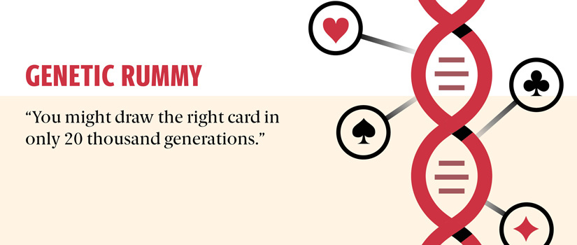 genetic rummy, you might draw the right card in only 20 thousand generations