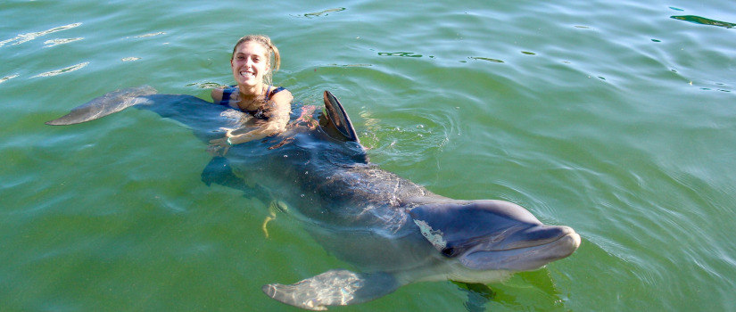 Dani Ramsey swims with a dolphin