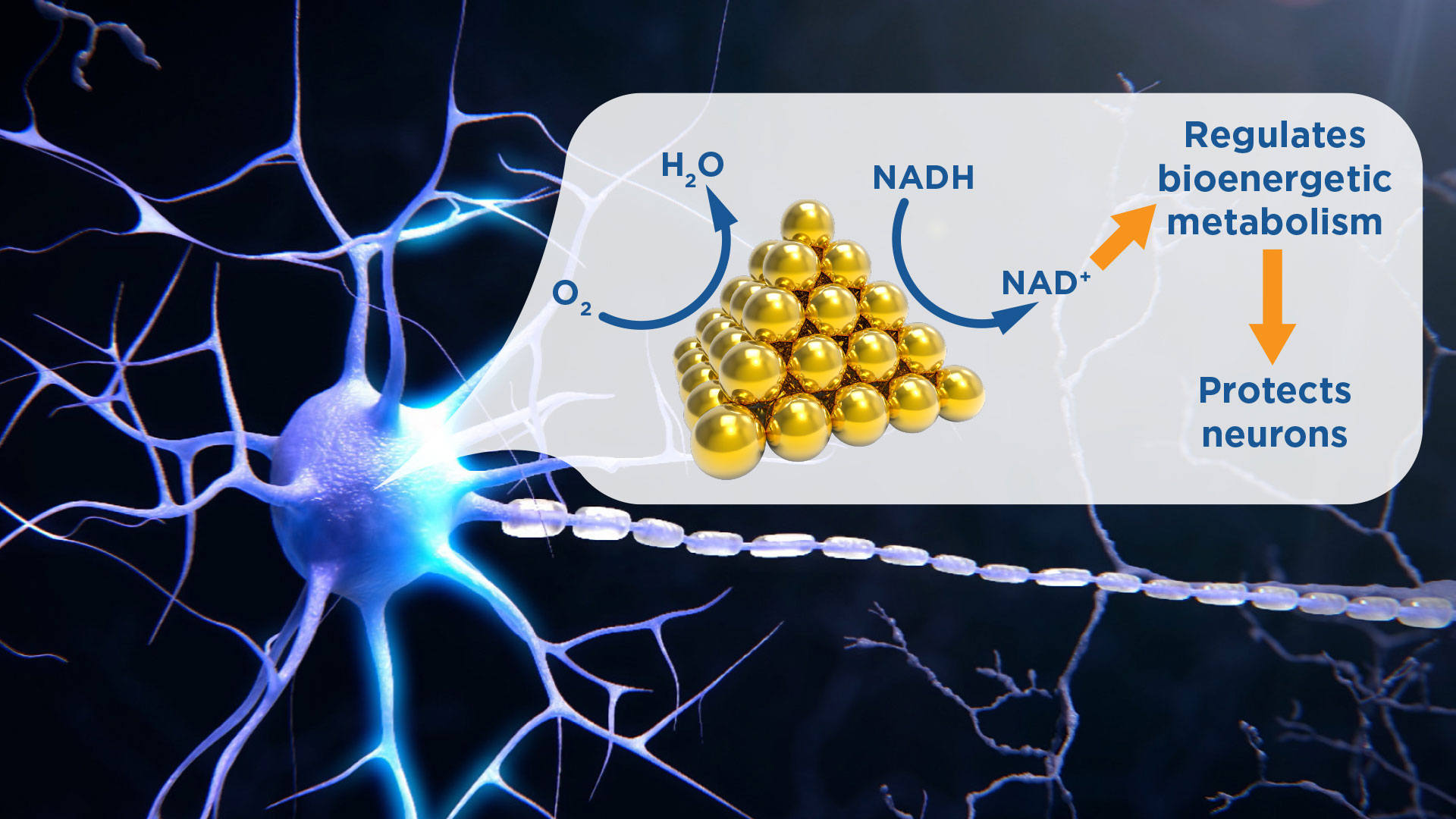  A diagram showing a pyramid-shaped stack of gold-colored spheres representing a nanocrystal with a neuron cell in the background. It shows how the crystal converts NADH to NAD+ which regulates bioenergetic metabolism and protects nuerons.