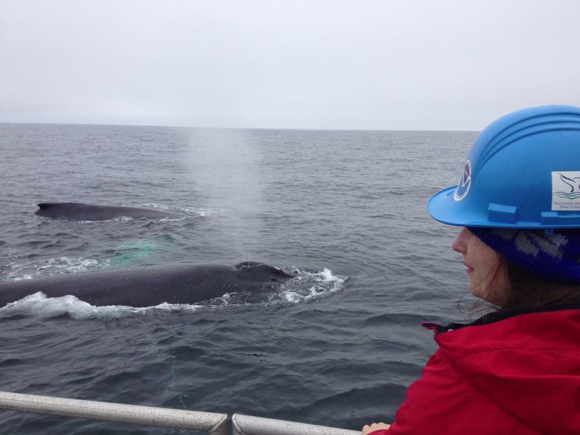 Kate Davis on a boat overlooking the ocean as a whale surfaces