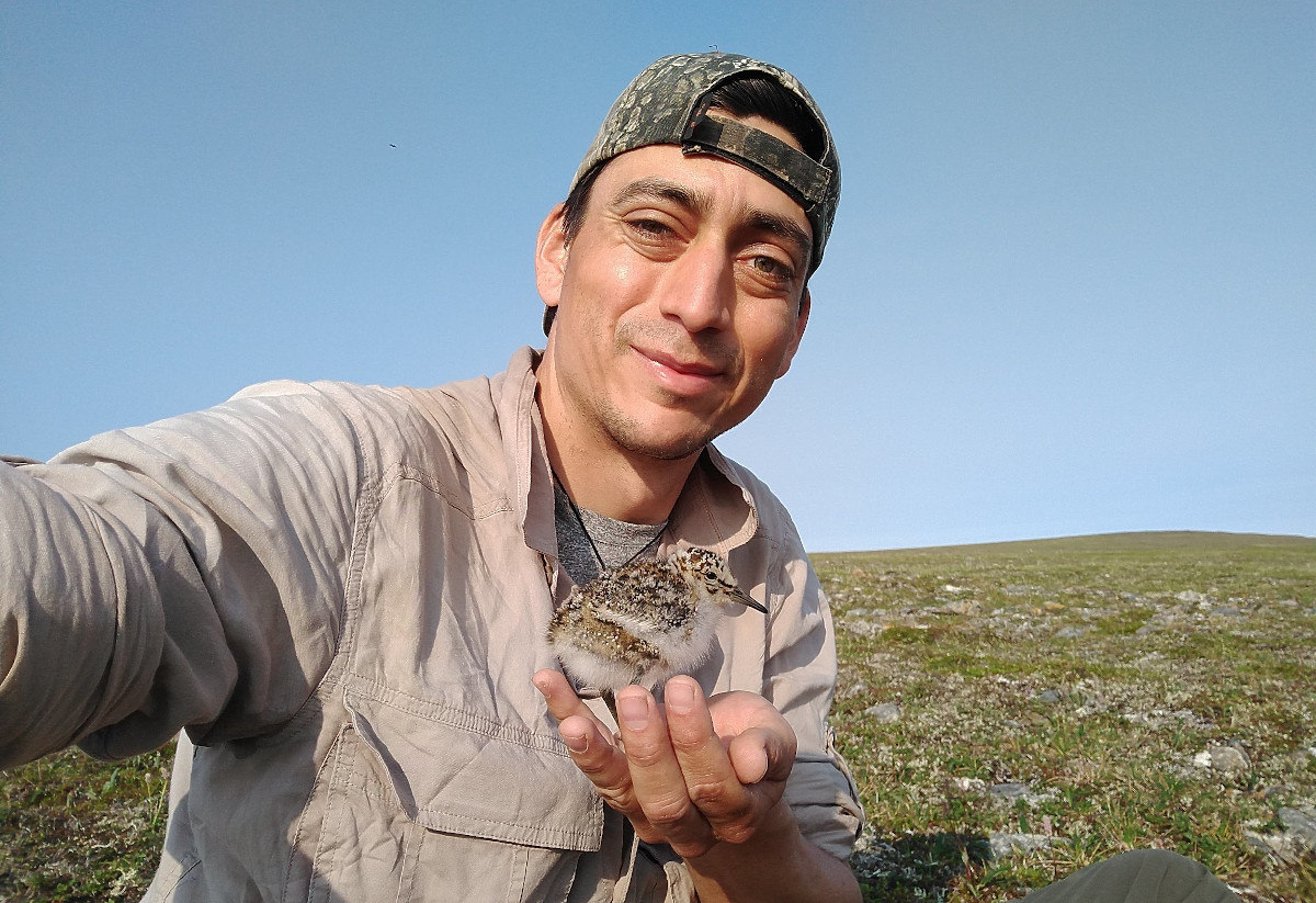 Julian Garcia Walther holds a red knot bird in the palm of his hand