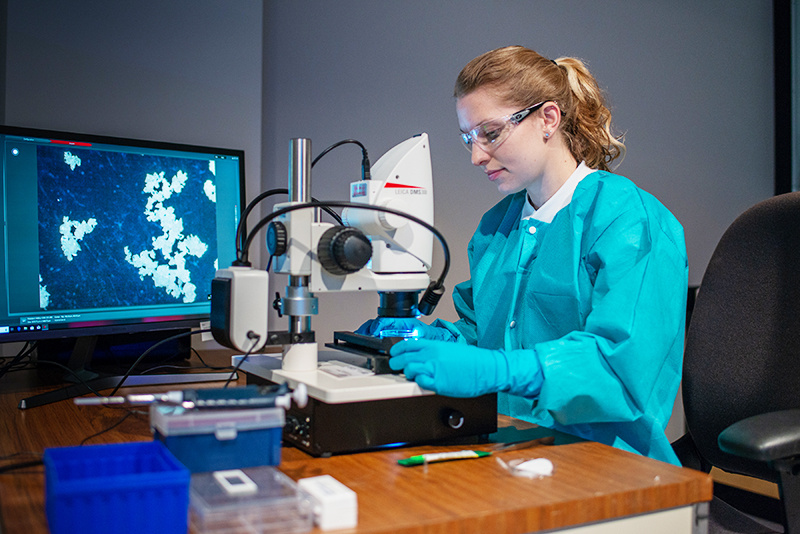 Kristen Pace works with a microscope as crystals are displayed on a screen