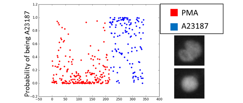 Scatter Plot showing the model’s ability to distinguish between agonists inducing NETosis