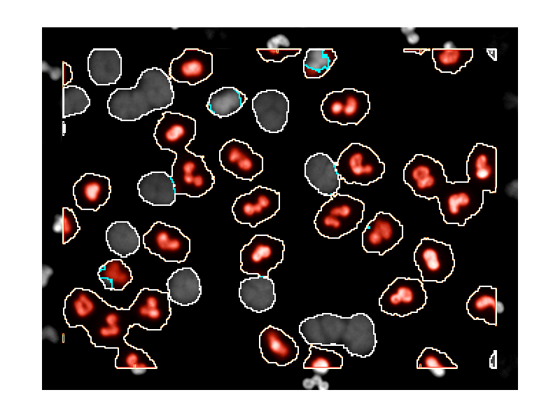 Cell classification 