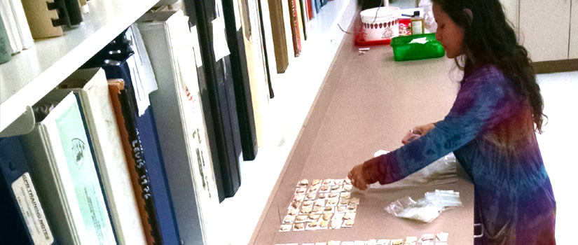 Sorting artifacts
