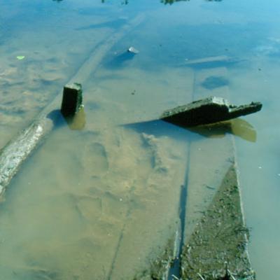 Remains of one of several barges located during the survey of the Wateree River in the vicinity of Mulberry Mound. (SCIAA photo)