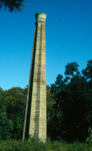 Chimney of abandoned rice mill near the barge at Laurel Hill Plantation. (SCIAA photo)