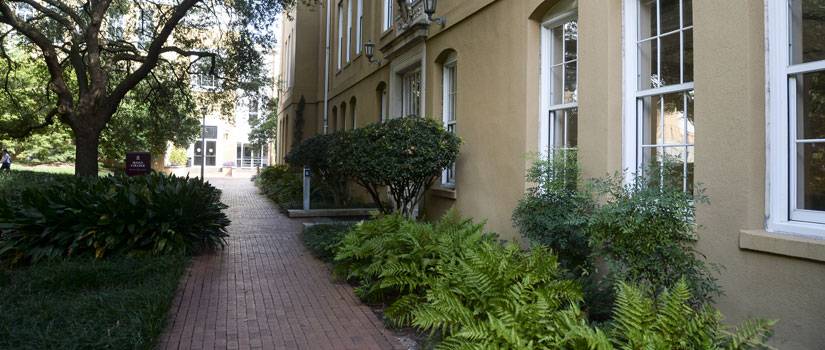 A brick pathway at the University of South Carolina, Columbia.