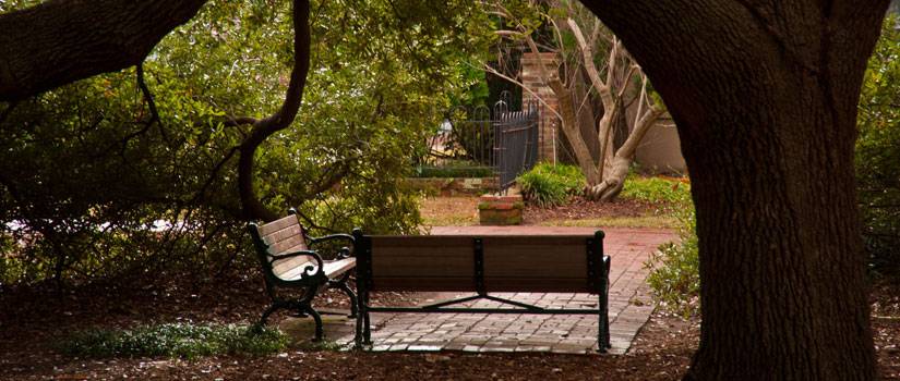 Benches on the Horseshoe at the University of South Carolina, Columbia.