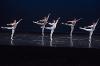 "Allegro Brillante" by George Balanchine.