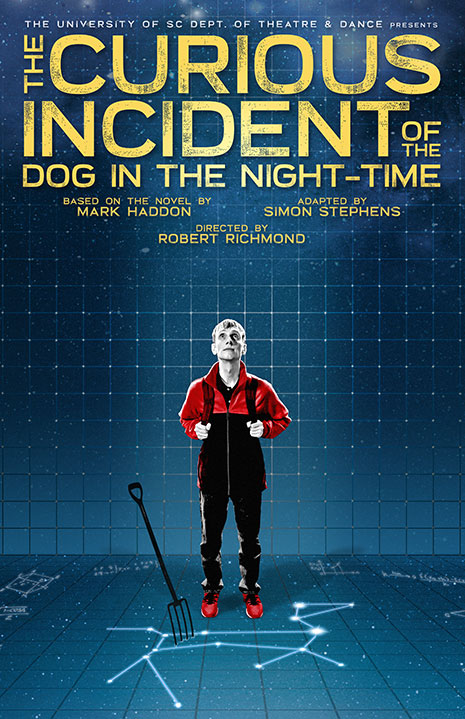 The Curious Incident of the Dog in the Night-Time Poster 