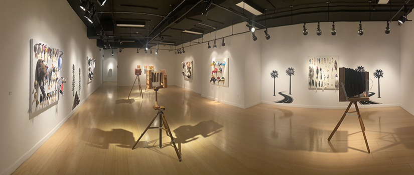 Darwin's Finches exhibit at McMaster Gallery 