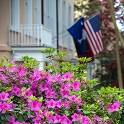 Pink flowers in front of a building with South Carolina and US flags.