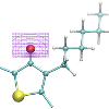 The quantum nature of proton/deuteron (red) affects crysallinity of Poly(3-hexylthiophene), or P3HT, films. 