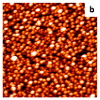 Scanning tunneling microscopy images of: a) 0.5 monolayers (ML) of Pt on HOPG; b) 0.5 ML of Pt on HOPG modified by Ar ion sputtering; and c) 0.4 ML of Ru deposited on the 0.5 ML Pt surface shown in (b).  The lack of new particle formation after deposition of Ru indicates that the particles in (c) are exclusively bimetallic; all images are images are 1000Å x 1000Å.