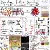 Summary of organometallic and metallopolymers research.