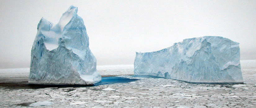 Small Bergs in the Winter Ice Pack