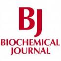 Biochem J 2005