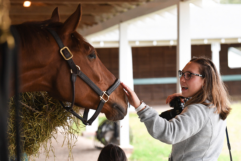 Student photographer Alyssa Luquer gives some attention to one of the horses in the early morning hours at the Springdale Racecourse in Camden. 