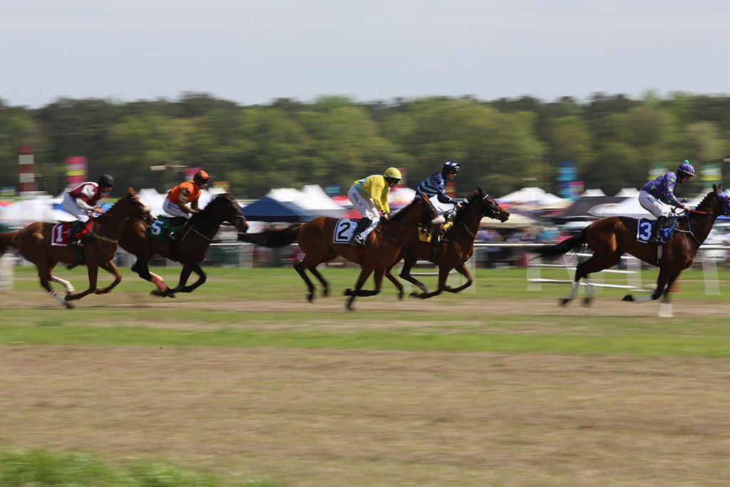 Horses race down the field toward the next jump during a steeplechase race at the Carolina Cup in Camden, SC, on April 1, 2023. Photo by ALTASIA JOHNSON 