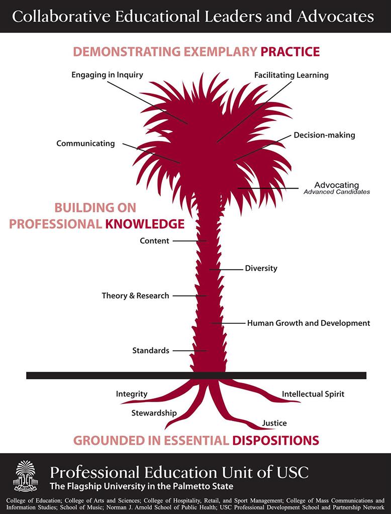 Infographic showing parts of a palmetto tree