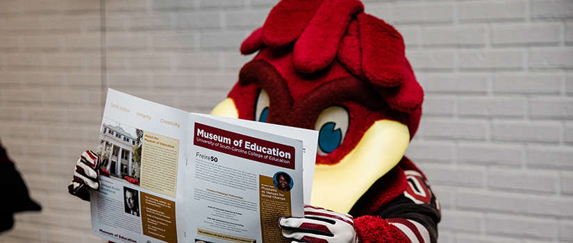 Cocky reading a newsletter