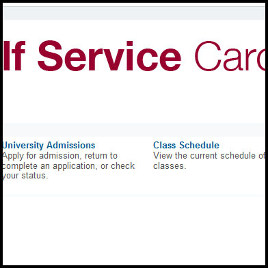 screenshot of http://ssb.onecarolina.sc.edu