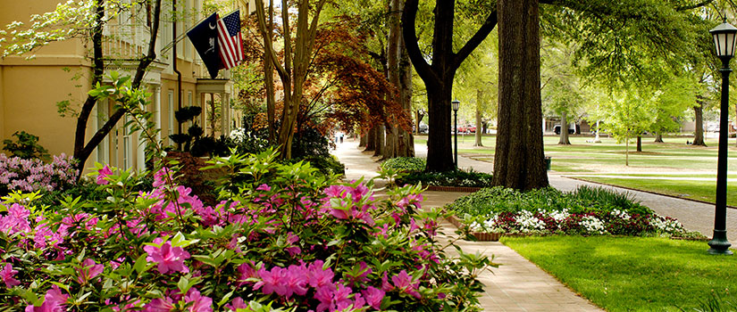 View of flowers surrounding the President's house on the historic Horseshoe