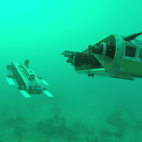 Underwater robots in water