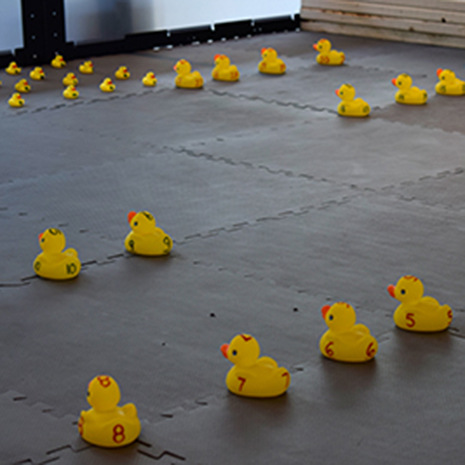 Robot ducks facing each other on floor