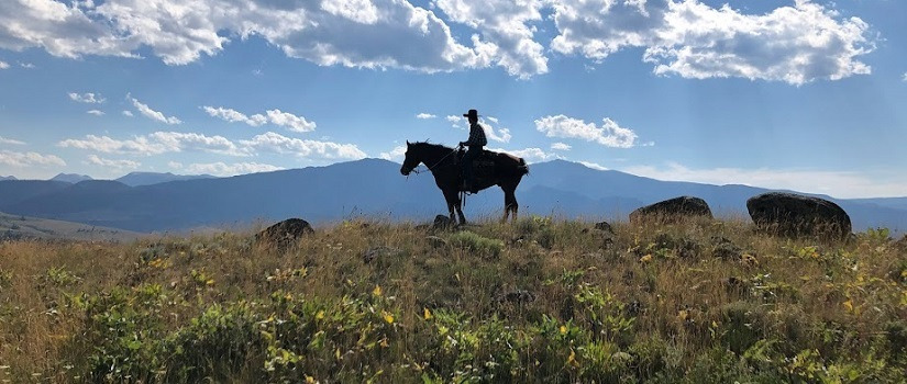 Roland Herbkersman on a horse in the Gallatin National Forest in Montana.