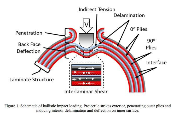 Interlaminar shear diagram