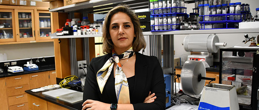 Chemical Engineering Assistant Professor Golareh Jalilvand