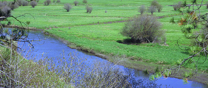 Marginal condition pastureland in Adams County, Idaho is being restored to its natural wetland environment through the Wetlands Reserve Program.