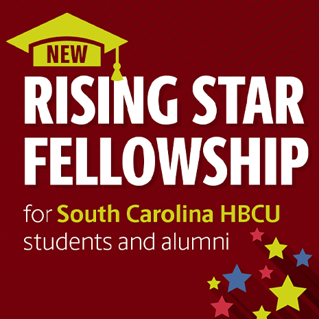 Rising Star Fellowship