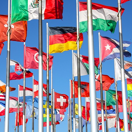 world flags unfurled in the wind