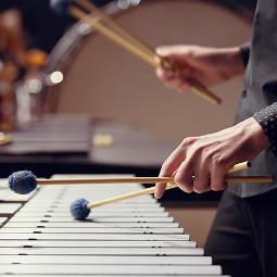 vibraphone or xylaphone which is in the idiaphone category, a sub-category of percussion