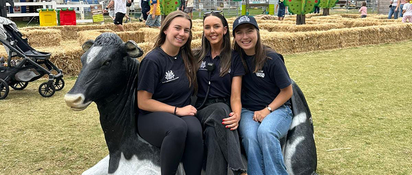Three University of South Carolina sport and entertainment management students smile while seated on a decorative cow display at the Sydney Royal Easter Show in Australia.
