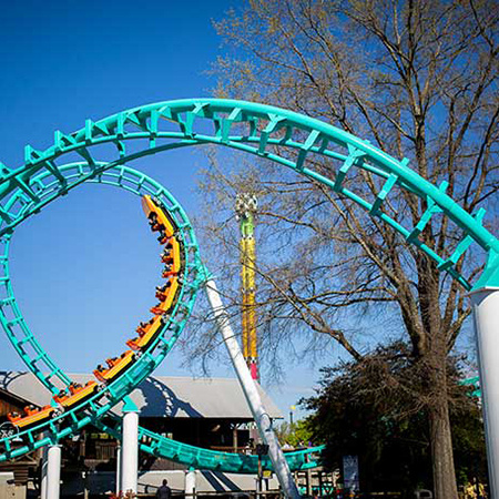 A rollercoaster featuring loops at Carowinds amusement park.
